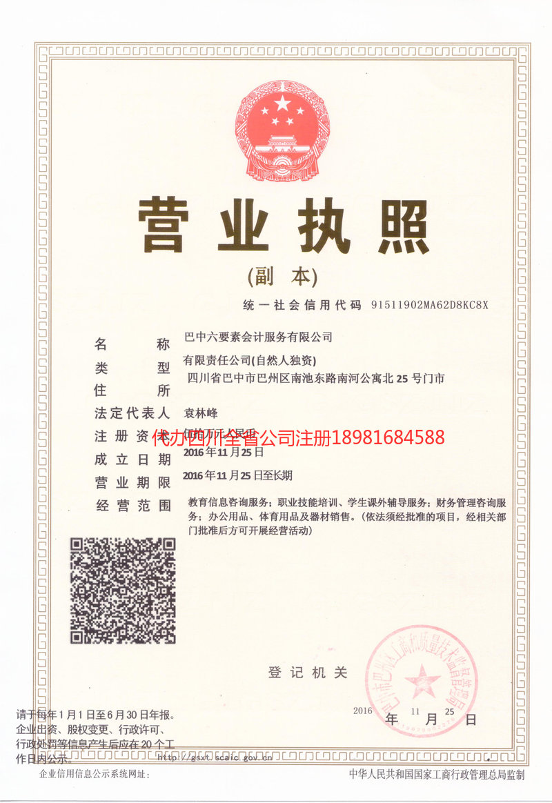 廉江廉江六要素会计服务有限公司