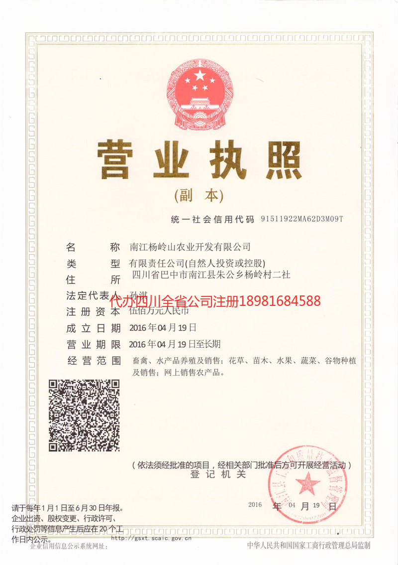 廉江廉江杨岭山农业开发有限公司